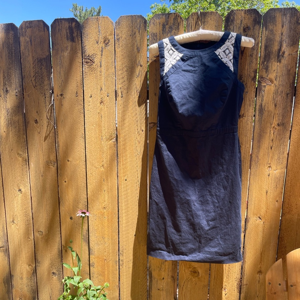Ann Taylor Navy Blue Dress with White Accents